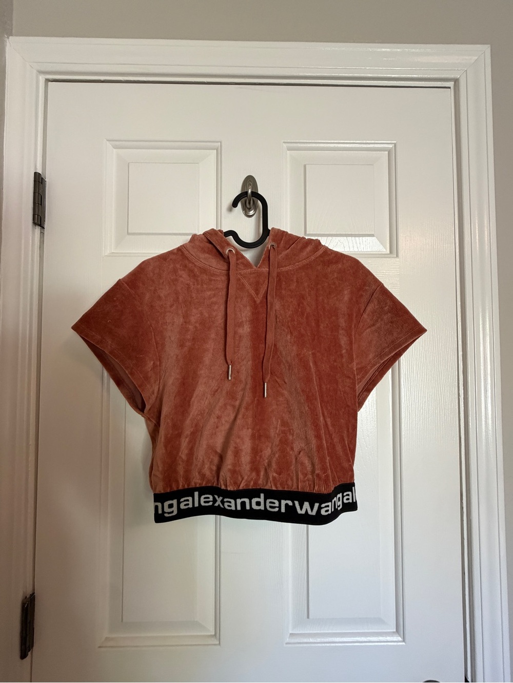 Alexander Wang rusted clay short-sleeve velour hoodie